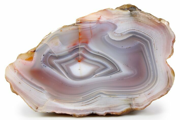Colorful Polished Patagonia Agate - Highly Fluorescent! #260756